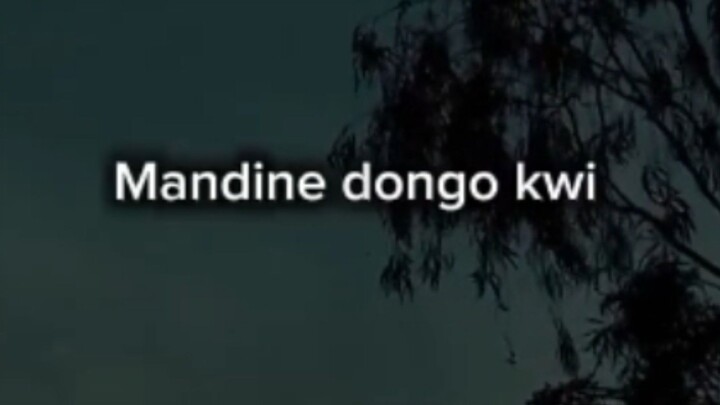 Mandine Donggo