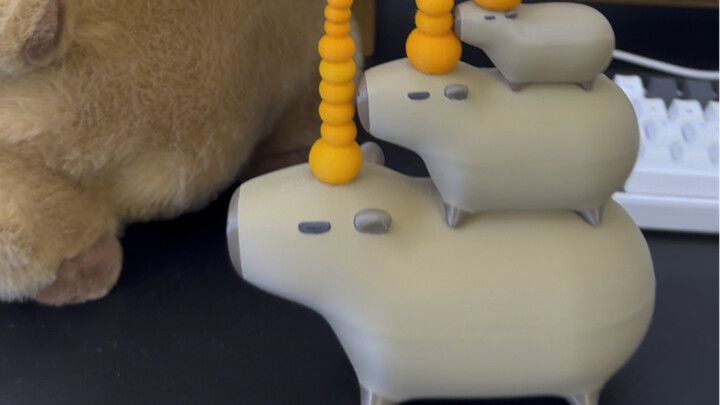 【ปลาซันมะตัวเดียวo】กำลังโหลดวิดีโอ รีบมาเช็กของขวัญสุดพิเศษกันเลย!