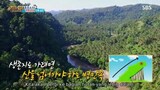 Law of the Jungle in Kota Manado (2017) Episode 252 SUB INDO