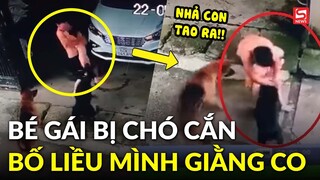 Hoảng hốt clip bé gái bị 2 chú chó tấn công, người bố liều mạng giằng co với thú dữ