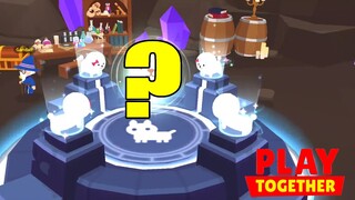 Lần Đầu TVT Đi Phối Giống Chó, Bất Ngờ Nâng Cấp Lên Chó Khủng | Play Together