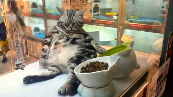 Karakter sang Mayor benar-benar menghantamku!