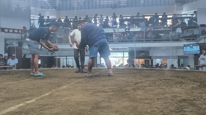 new mendez cockpit 3hits sbr loss!sayang patay din kalaban