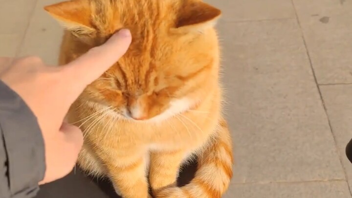 ขนมปังก้อนโตนุ่มฟูในโรงเรียน