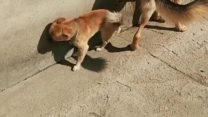 Anh chàng nói mà suýt khóc luôn rồi