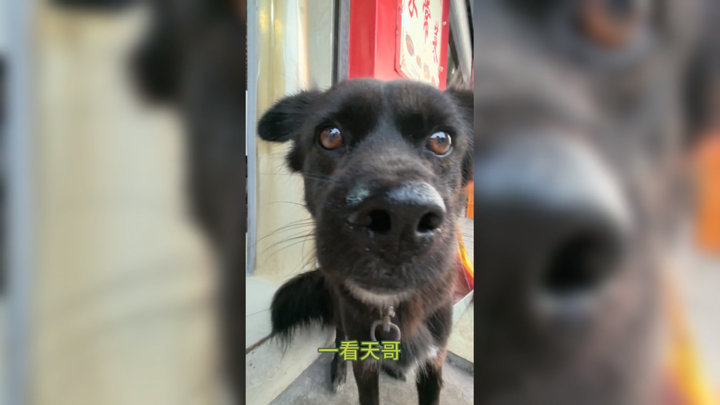 พี่เทียนอยู่ที่ไหน