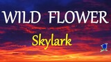 WILD FLOWER -  SKYLARK lyrics (HD)