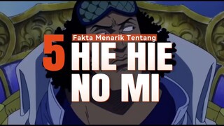 5 Fakta Menarik Tentang HIE HIE NO MI | Buah Iblis Akainu 🔥