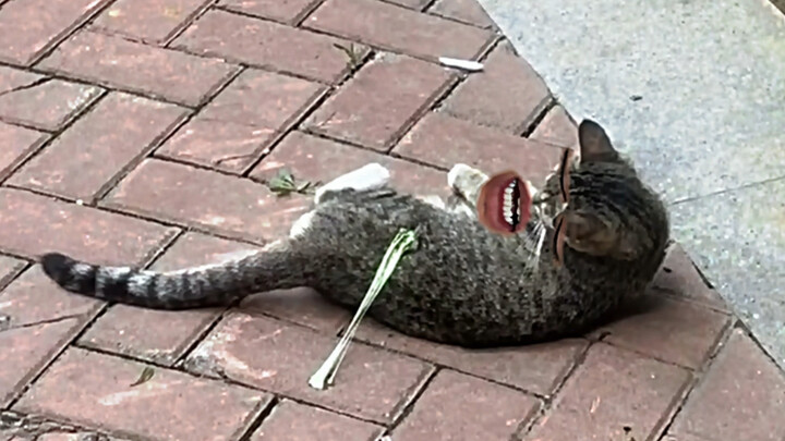 Bagaimana Anda Bisa Begitu Malas?