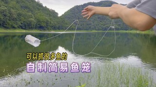 教你一种超简单包学包会包有用的公园、野外简易鱼笼制作方法！
