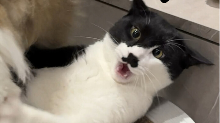 لا تقلق! لم أفكّ الملاحة!