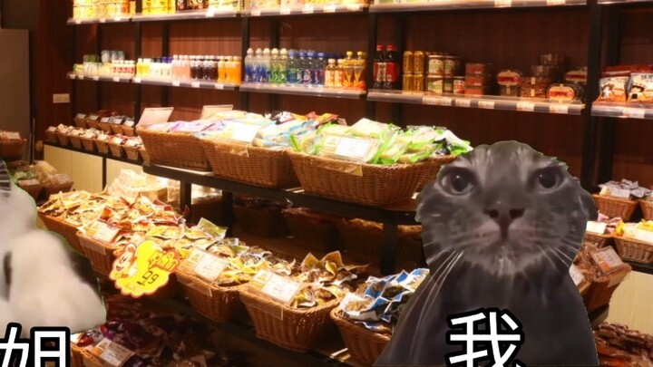 【Cat meme】My sister took me to a snack shop when I graduated from elementary school