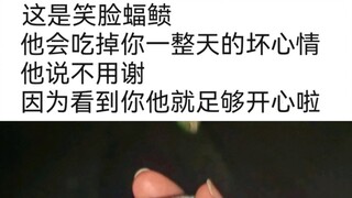 这个视频会吃掉你一天的坏心情。[emo了吗？开心一下]