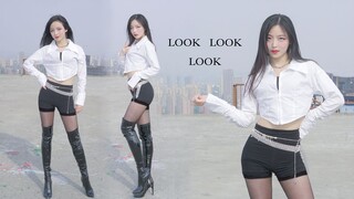 Tangkapan layar vertikal 4K perspektif anjing hingga akhir