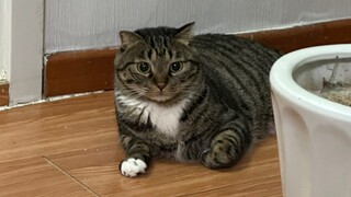 ซ่อนหา