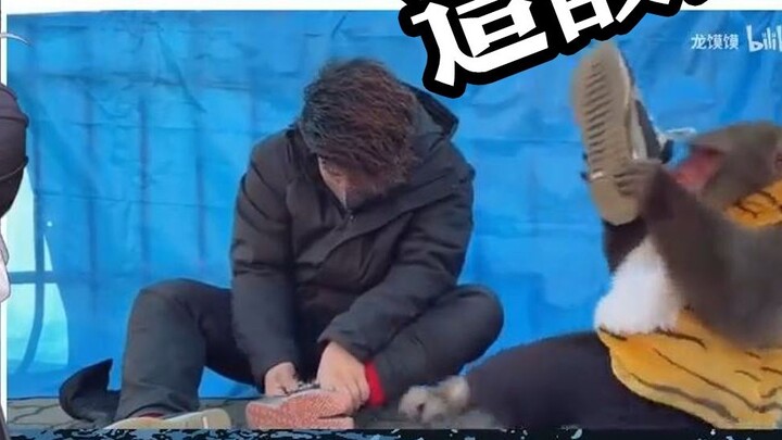 [B limited slices] If there is nothing left of Japanese squid, I will die first [Duoyu]