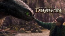 How to Train Your Dragon (2025)