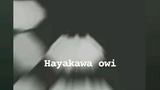 hayakawa owi