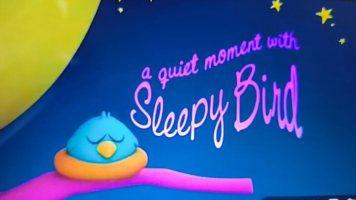 pocoyo Leti s