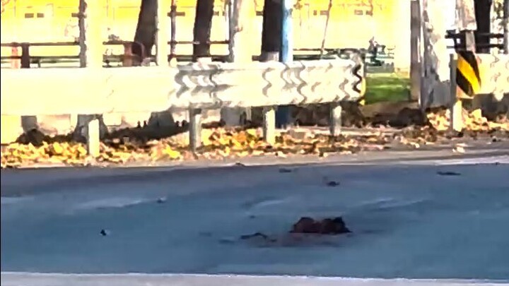 The little guy died without making a sound.