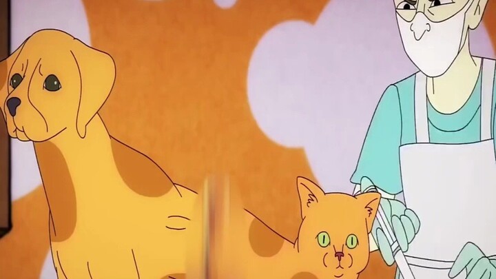 Scientists sewed the bodies of a cat and a dog together just to conduct a bizarre experiment!