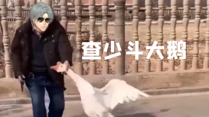 Cha Shaodou’s Big Goose 🦢 [Love Between Fairy and Devil]