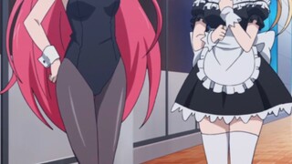 Which do you prefer, a bunny girl or a maid?