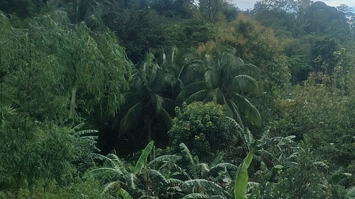 this is a nice place in tanay rizal