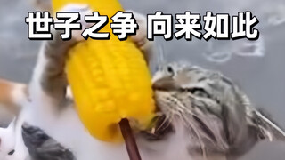 只 要 是 德 语 就 画 风 突 变
