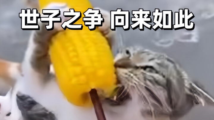 只 要 是 德 语 就 画 风 突 变