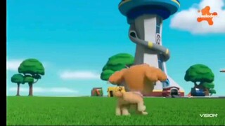 Paw Patrol Musim 8 Episode 3 dan Episode 4 Bahasa indonesia Vision+