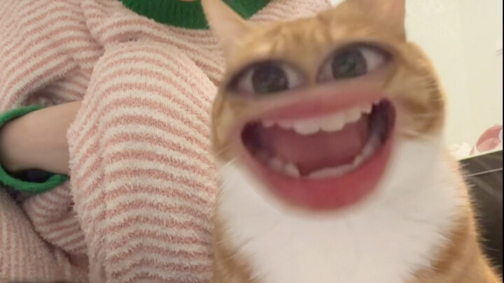 Pertunjukan ubah wajah yang sangat kacau!