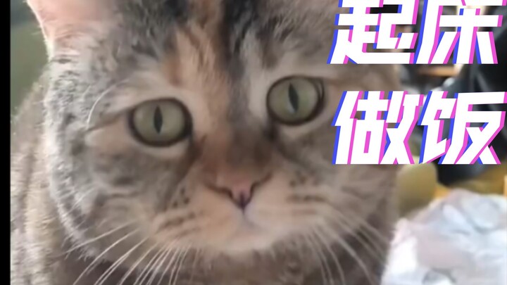 “You’re Awake—Get Up and Cook!”