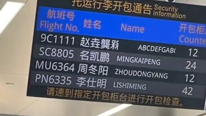 Zhao Yaoyanmeibiao Xun