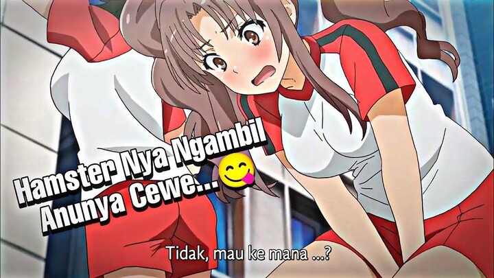 Ketika Hamster Ngambil Anu Nya Cewe…