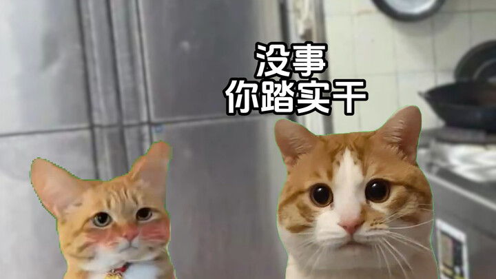 There’s always someone spreading kindness #CatMemeMiniDrama#Post-00s#TouchingMoments