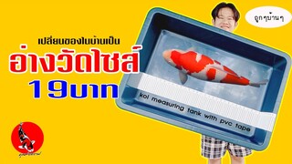 อ่างวัดไซส์ปลาคาร์ฟทำเอง งบ19บาท KOI Measuring Tank DIY with PVC TAPE