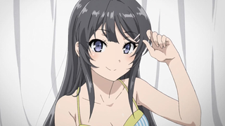 【يونيو/إصدار مسرحي/CloverWorks】سلسلة "فتى خنزير المراهقة" - الفصل الخاص بـ"الزميلة الأرنبة" [مجموعة 