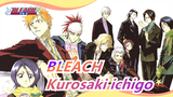 BLEACH|[MMD]Kurosaki ichigo & Battle Vixens