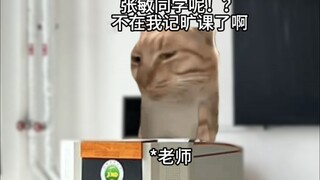 代课的自我修养