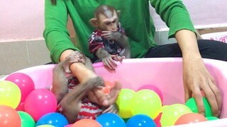 Fully entertain with mommy after dressed the the three monkeys