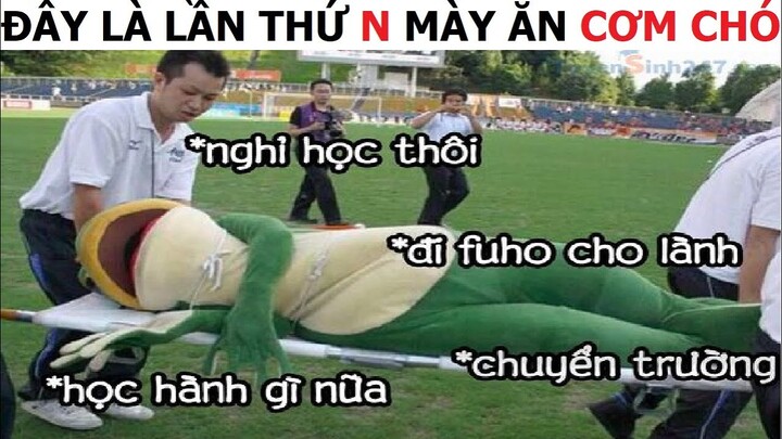 Dương Luật Official - Cẩu lương Everywhere #54| Hay lắm, thề ! :(((