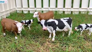 Đỡ không nổi những tình huống khó đỡ #62