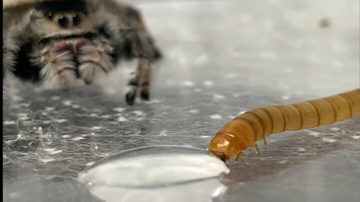 Setelah sama-sama minum air, kita langsung berpisah—yah, cuma secara fisik aja kok.