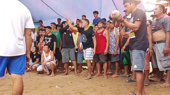 panalo Patay #bulik babalik