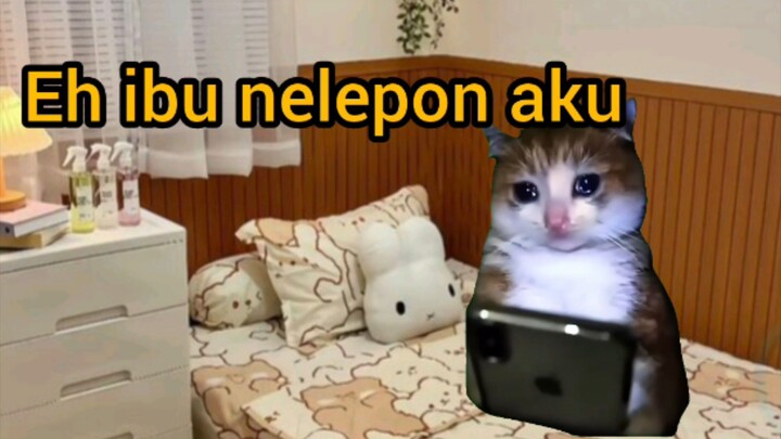 Suka duka jadi saksi bisu "Anak Rantau / Pejuang Hidup" #anakrantau #fyp #kangenibu #memekucing