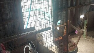 konting pasilip sa munting manukan natin...