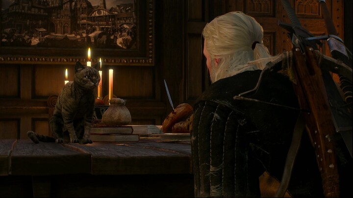 Geralt notices an interesting Cat - Witcher 3