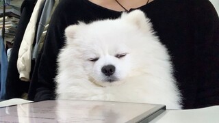 เหมือนเคยได้ยินมาก่อนในชาติที่แล้วนะ?