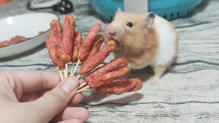 Hamster itu juga menginginkan sepuluh sosis, jadi aku akan segera membuatkannya untuknya! Itu hamste